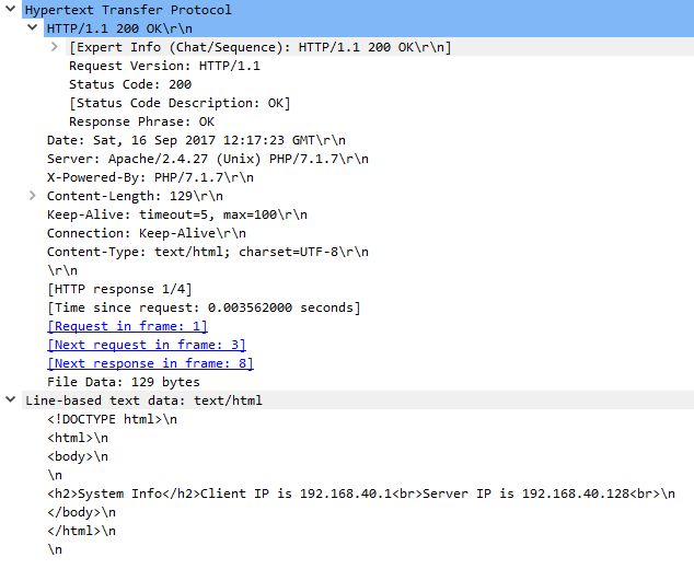 Network Protocol Version Should It Be Request Version Or Response - Premium Colorful Design Gallery - Mobile