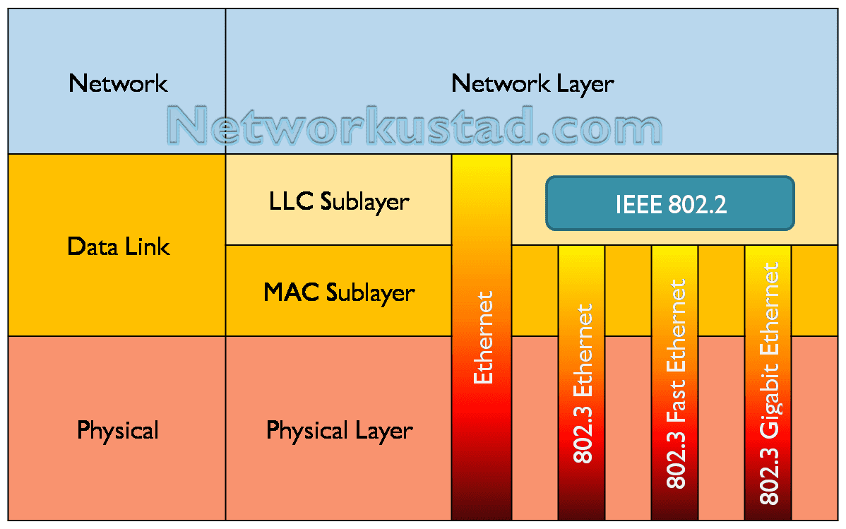2 Sublayers - LLC and MAC Important Functions