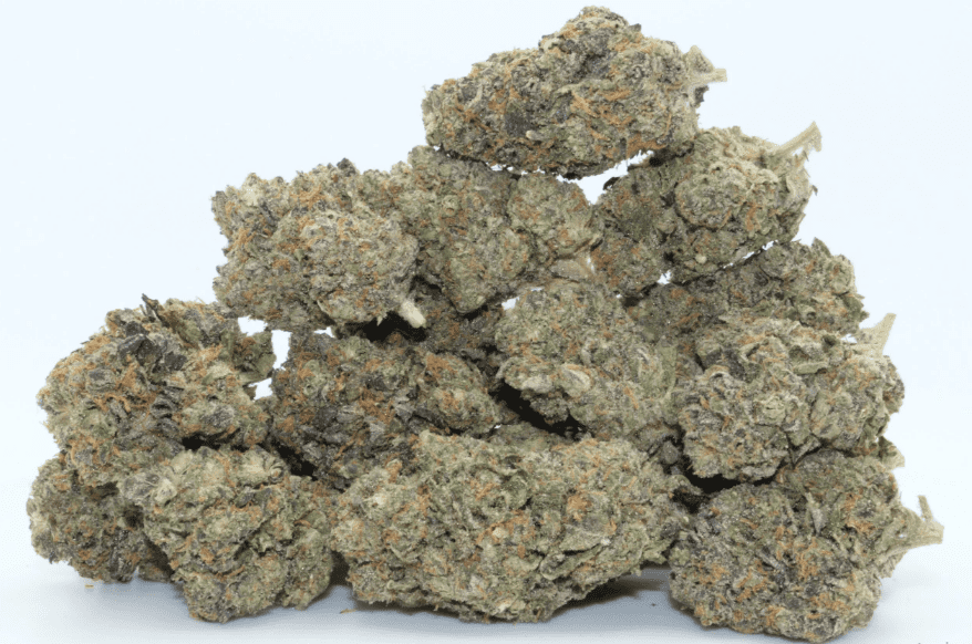 What Is White Truffle Hybrid Strain » NetworkUstad