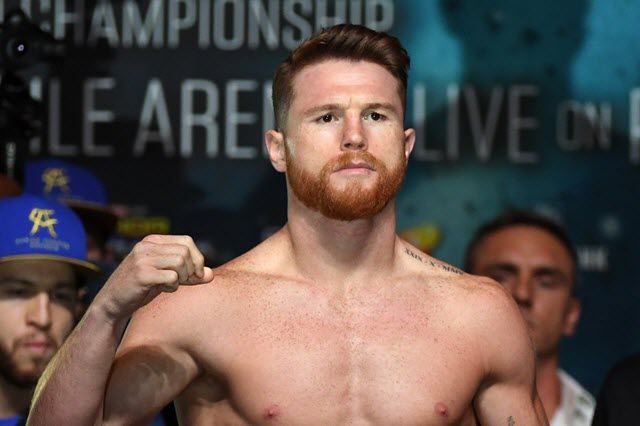 picture El Canelo Alvarez Net Worth networthbro
