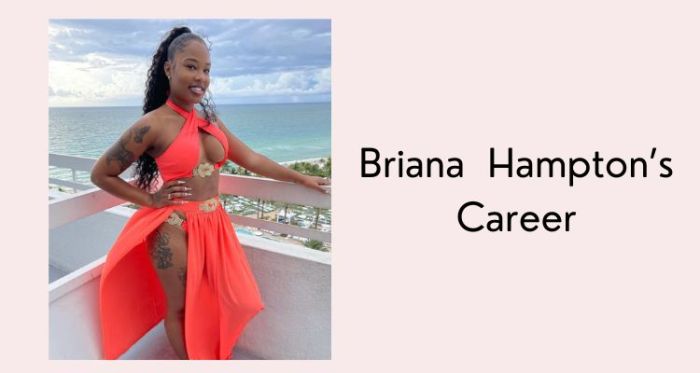 Briana hampton net worth 2023