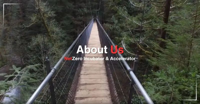 Reduce Your Carbon Footprint Netzero Incubator Accelerator - Professional Landscape Wallpaper - Full HD