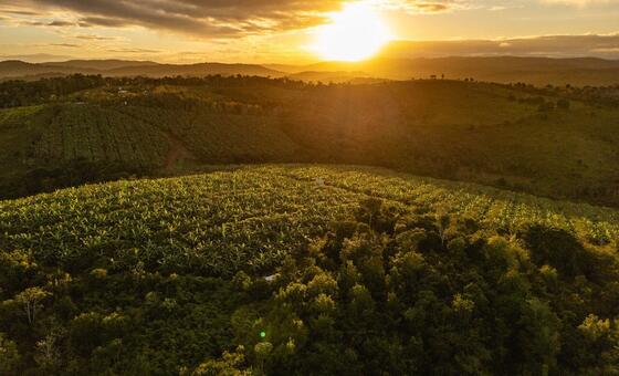 Discover How Agrihood Communities Are Revolutionizing Urban Living With Sustainable Farming and Green Neighborhoods for the Future