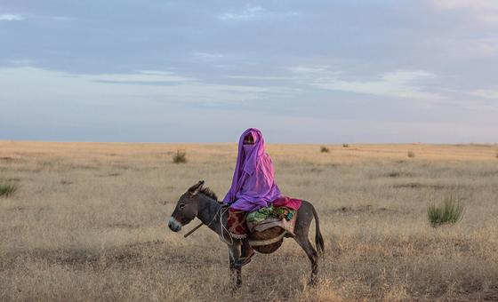 Over One Billion People Worldwide at Risk of Losing Their Land and Homes Within Five Years Due to Growing Global Threats