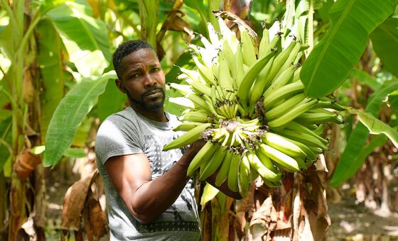 How the Middle East Conflict Is Causing Food Price Hikes and Economic Ripples Across the Caribbean Region