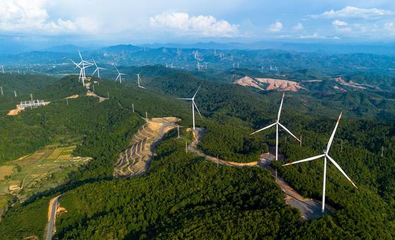 How Renewable Energy Is Providing Stability and Cutting Costs Amid Unpredictable Fossil Fuel Markets in 2024