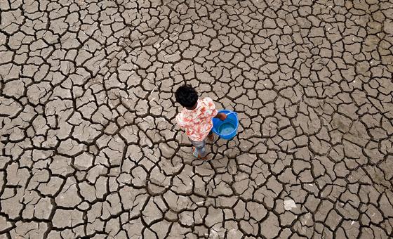 UN Warns That Global Temperatures Will Remain Close to Record Highs in Coming Years Amid Climate Change Concerns