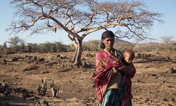 El Niño Confirmed by WMO: What the Latest Climate Event Means for Global Extreme Weather Patterns