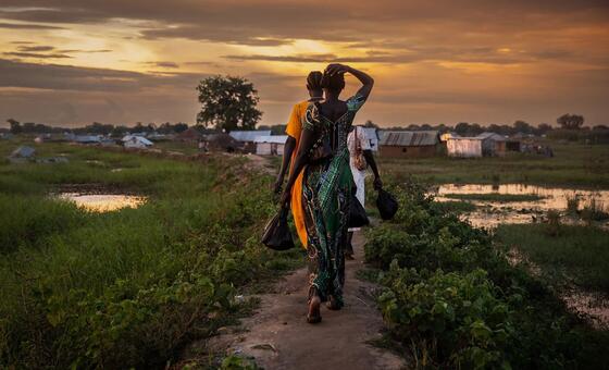 How El Niño Climate Patterns Threaten Millions Worldwide and What You Need to Know to Stay Safe
