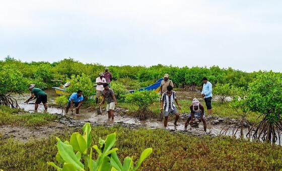 How Biodiversity Loss in Africa Threatens Local Communities, Wildlife, and Global Environmental Health