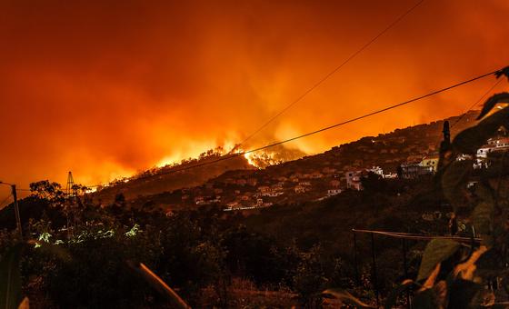 Urgent Climate Alarm Rings Globally as Scientists Warn of Escalating Environmental Crisis Threatening Our Planet