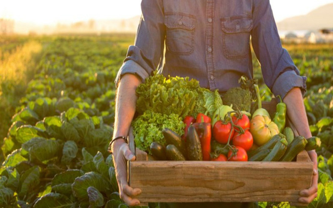 Sustainable Agriculture Practices