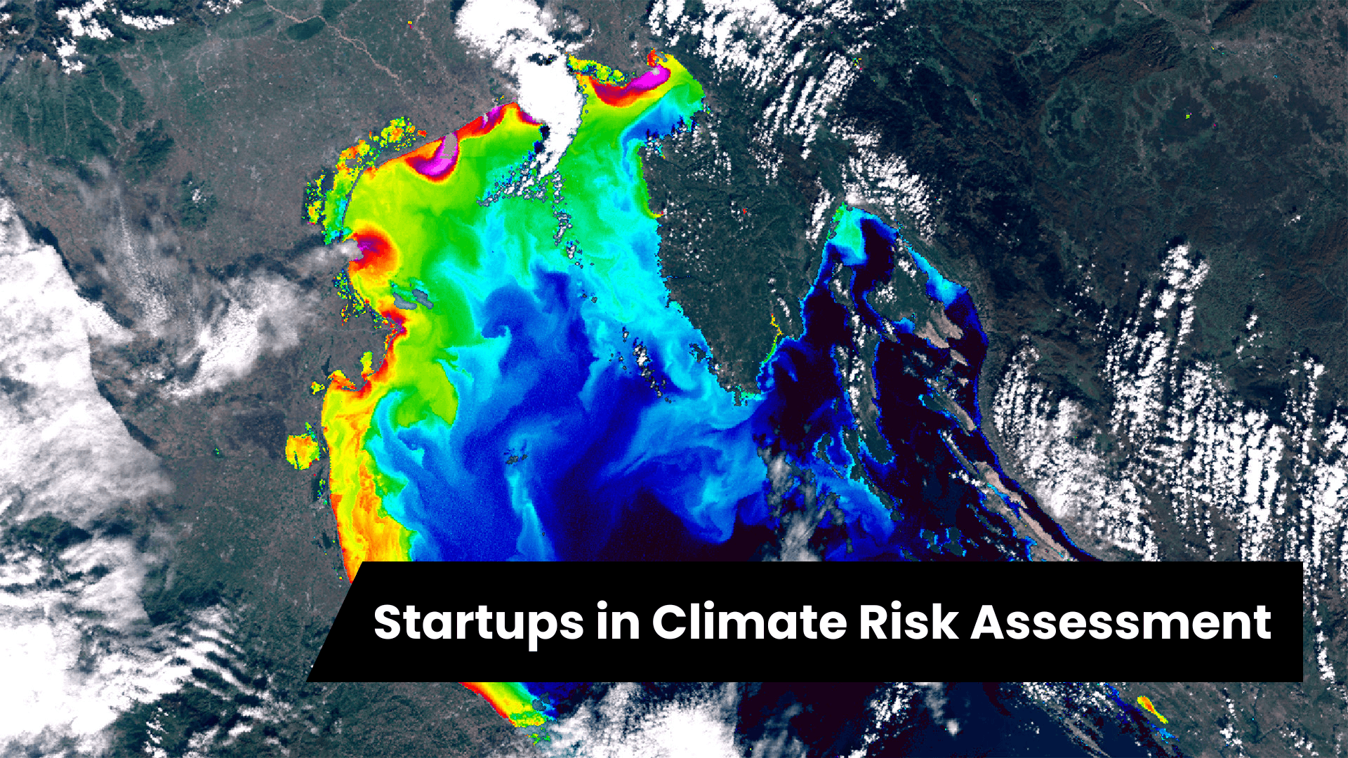 Five Climate Risk Assessment Startups Redefining How Risk Is Measured