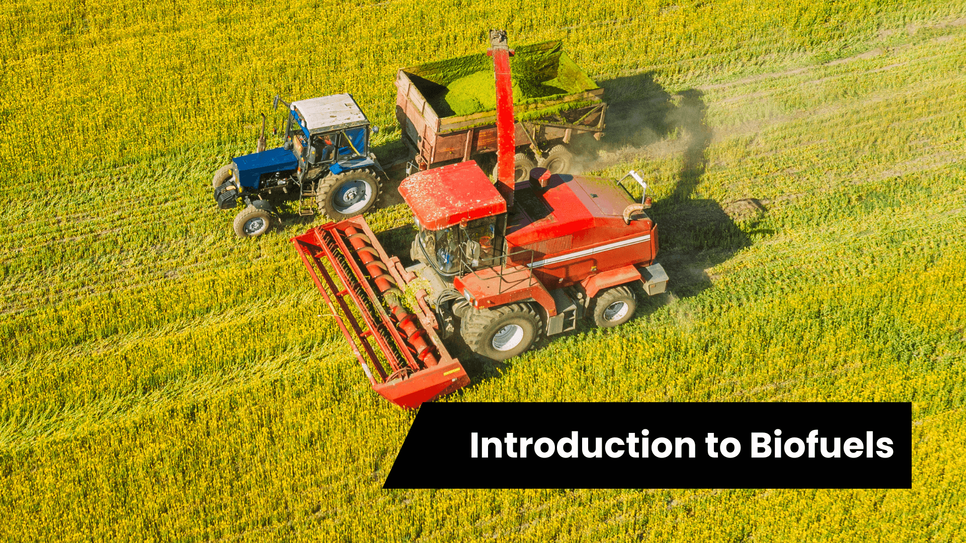 Key Challenges Limiting Biofuels Adoption