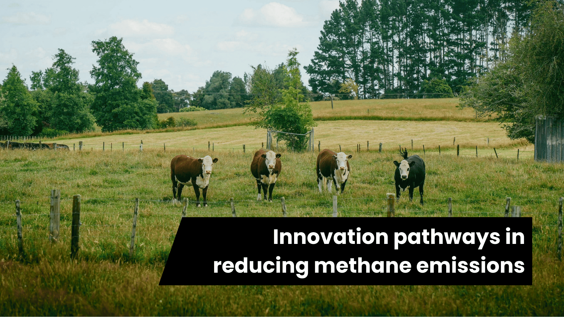 Key Innovation Pathways for Methane Reduction