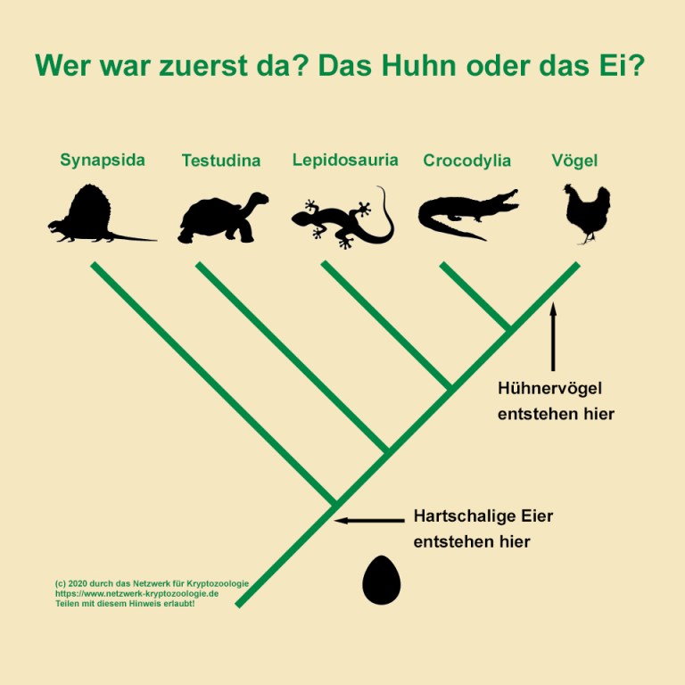 OsterSpecial Was war zuerst, die Henne oder das Ei? Netzwerk für Kryptozoologie OsterSpecial Was war zuerst, die Henne oder das Ei? Netzwerk für Kryptozoologie