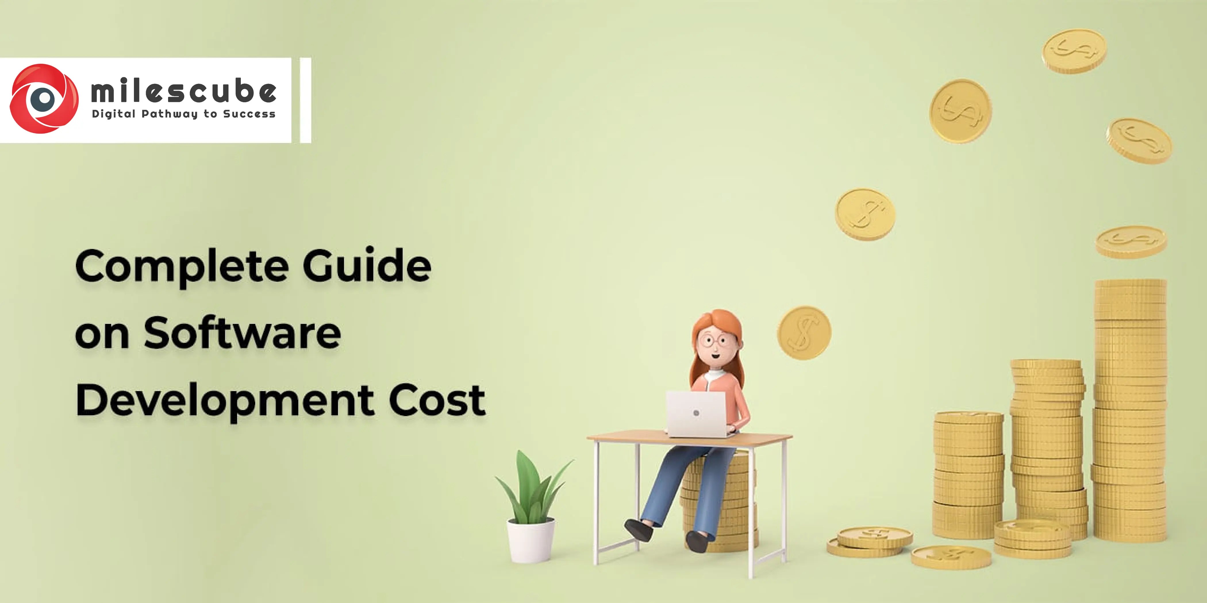 Complete guide on software development cost