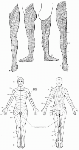 Sensory Localization | Neupsy Key