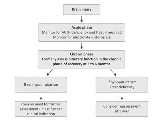 Endocrinology of Acute Brain Injury | Neupsy Key