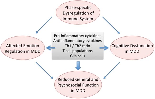 Inflammation and cognition in major depressive disorder Neupsy Key