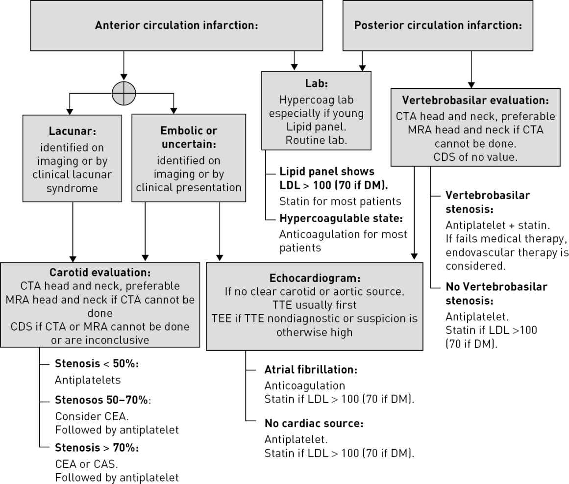 Vascular Disease Neupsy Key