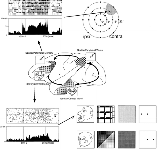 A315589_1_En_3_Fig6_HTML.gif