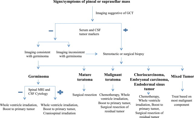 Pineal Cyst: A Review of Clinical and Radiological Features | Neupsy Key