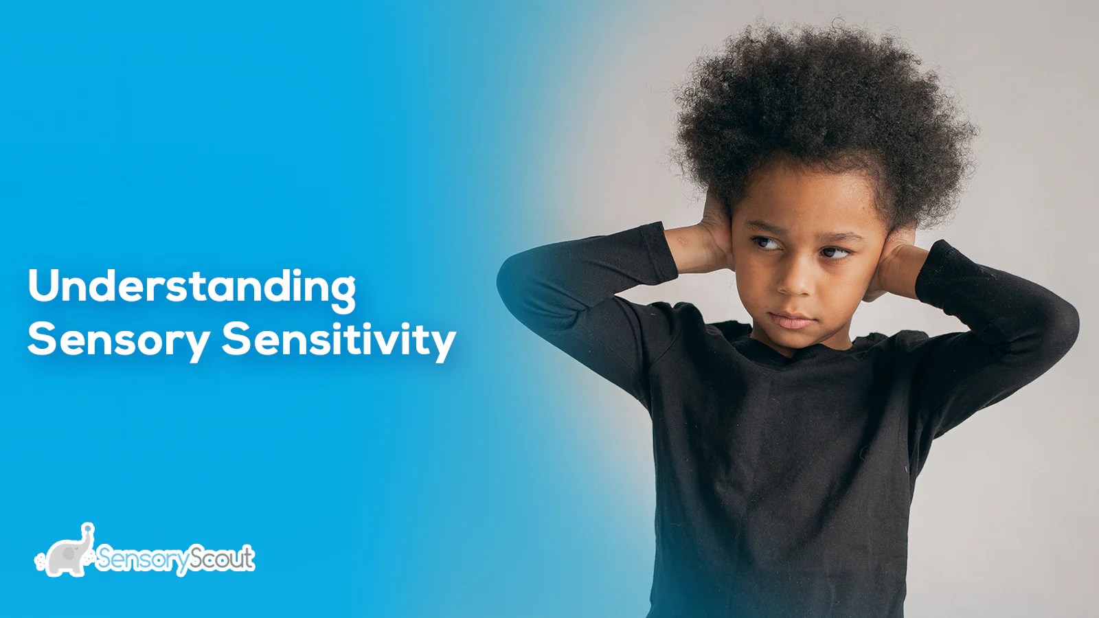 Understanding Sensory Sensitivity Neurobrocc