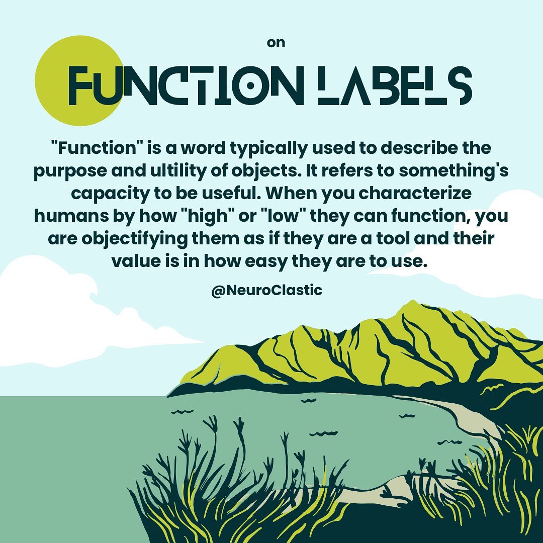 On Function Labels