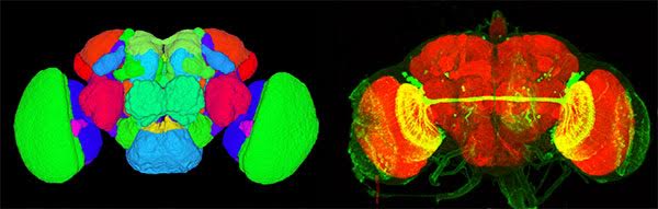 Neurokernel - Creative HD Ocean Wallpapers | Free Download