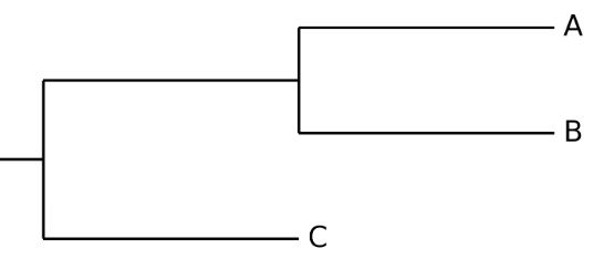 Phylogeny Comparative Animal Behavior - Space Image Collection - 8K Quality