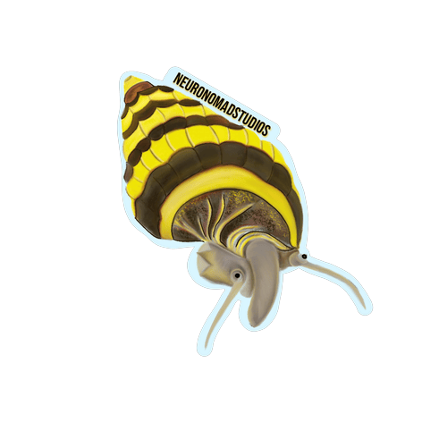 Assassin Snail Sticker