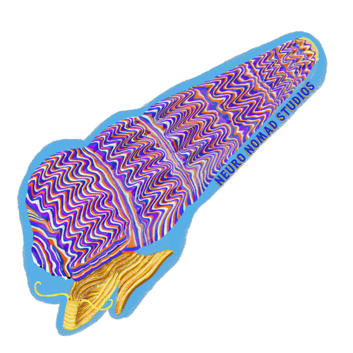 Rabbit Snail