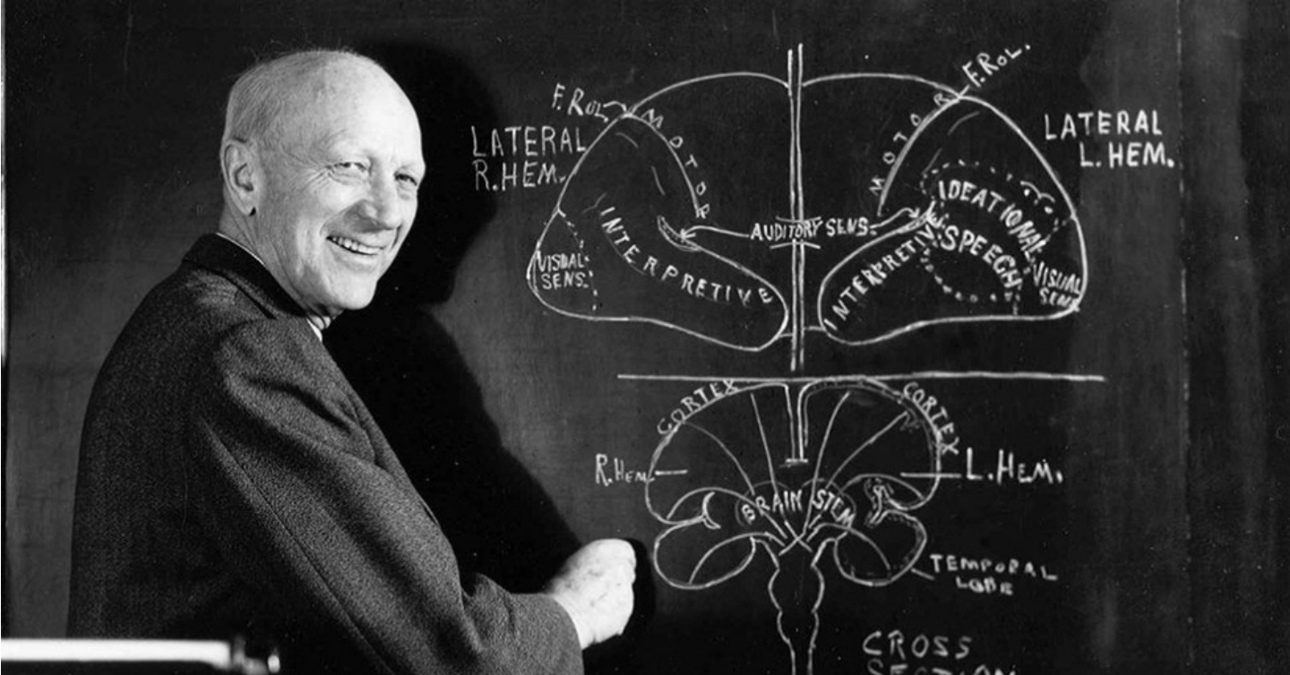 Wilder Penfield: Neural Cartographer