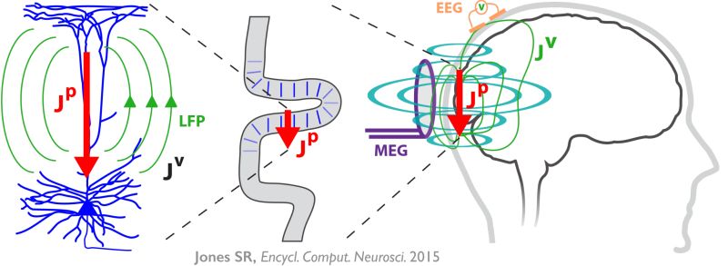Projects Neurosim Lab - Incredible Full HD Abstract Patterns | Free Download