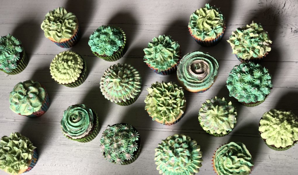Happy birthday cupcake decorating kit. White Chocolate Buttercream Succulent Cupcakes Neverdonewithfun