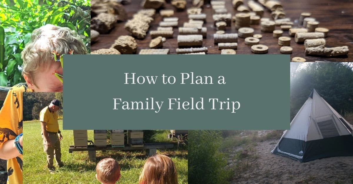 Several different pictures of trips with the text "How to Plan a Family Field Trip" in a green rectangle in front of them.