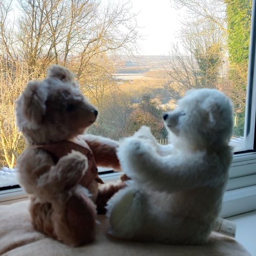Geoffrey window