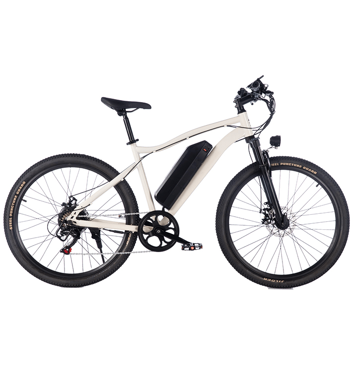 electric bicycle,e bike,electric scooter,folding e bike,city e bike,mountain e bike,fat tire e bike