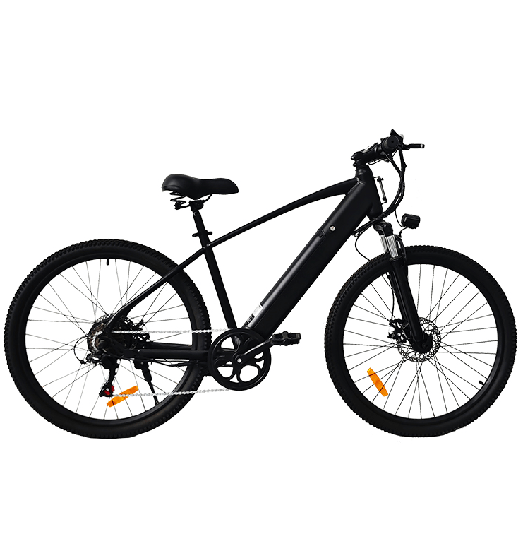 electric bicycle,e bike,electric scooter,city e bike,mountain e bike,fat tire e bike
