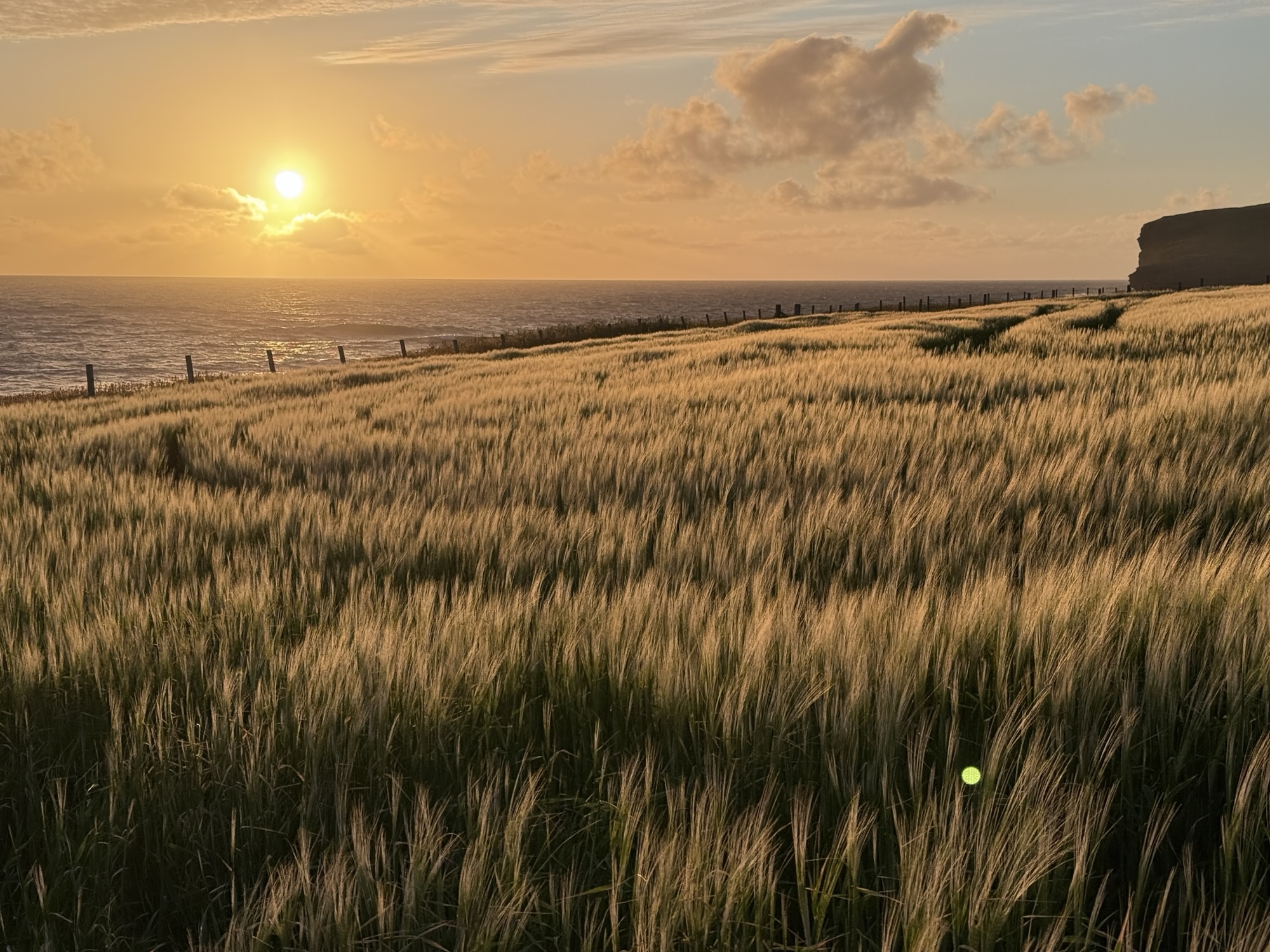 Orkney Beach Walks: The Quiet Luxury of Living This Way