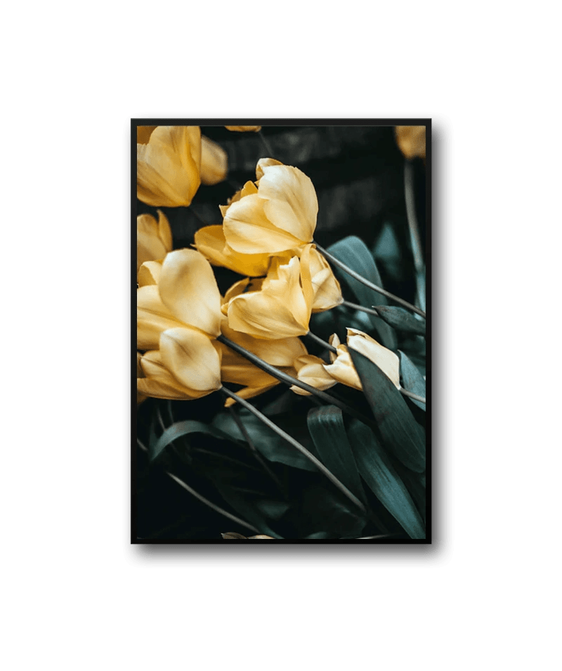 product12