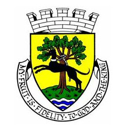 Linlithgow Burgh Arms