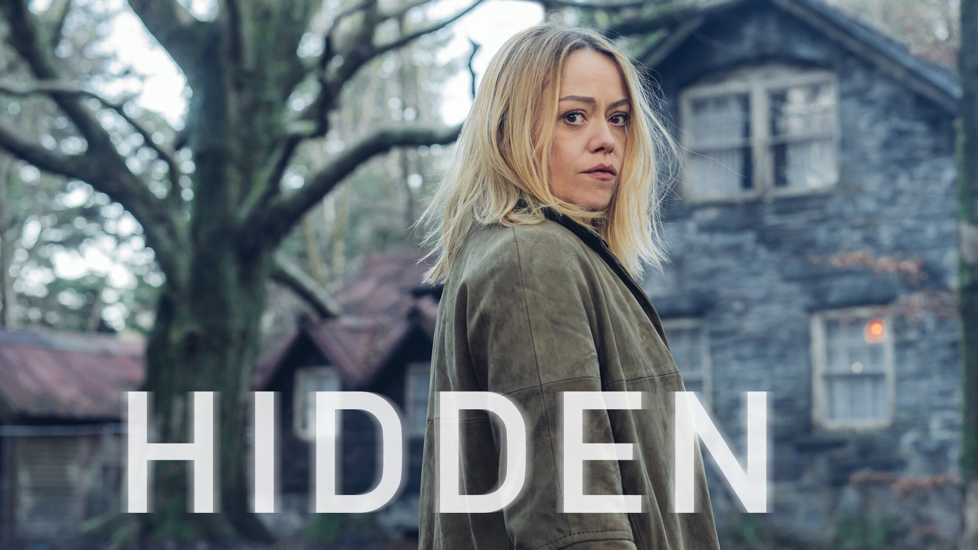 Regarder Hidden 2018 Streaming - Premium Dark Texture Gallery - Retina