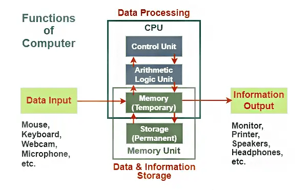 The Main Functions of Computer Memory 2025
