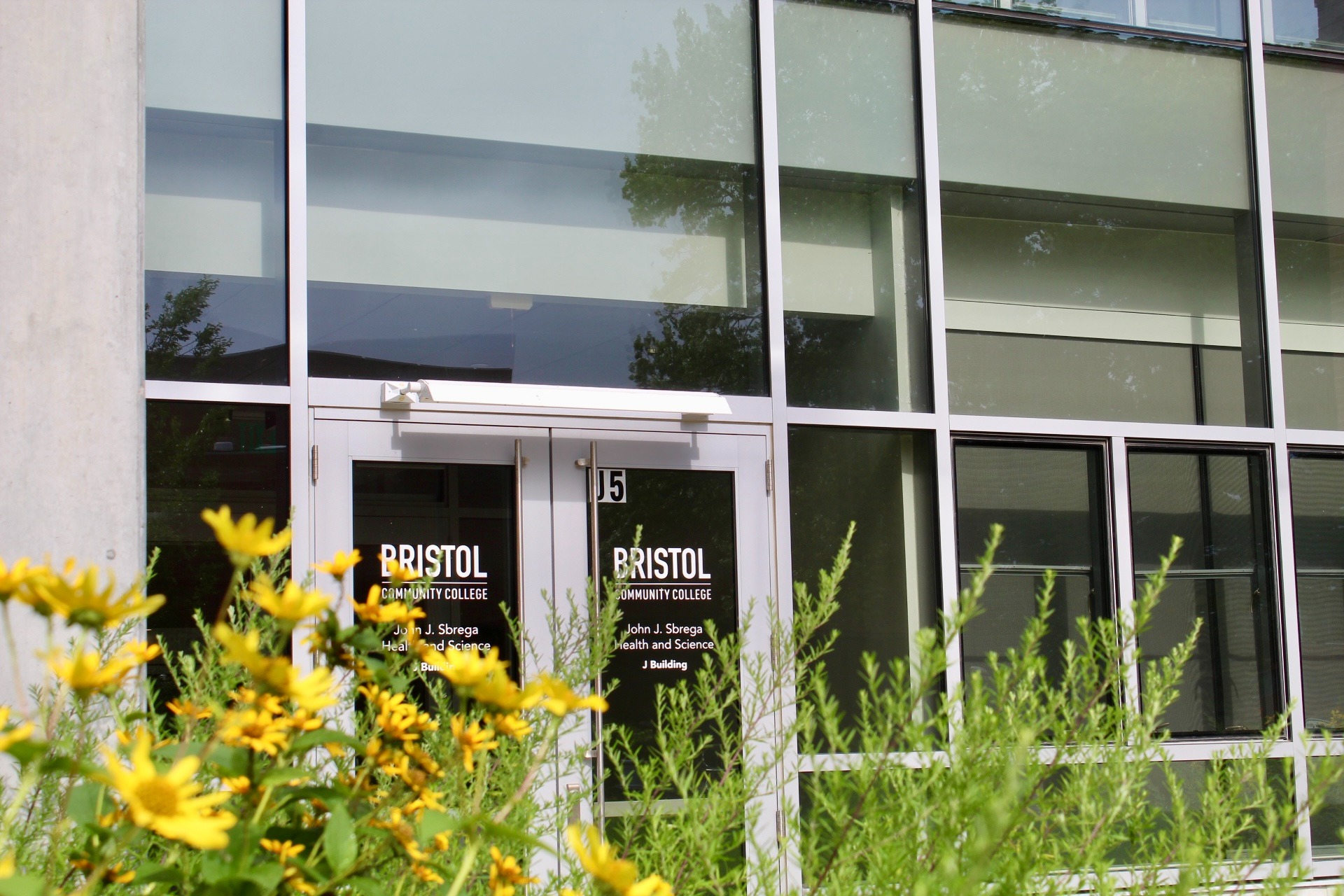 BCC enrollment grows due to state free-tuition programs