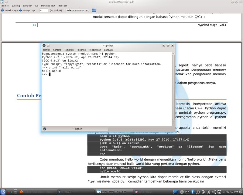Python Pspmy90s2 Python - Vintage Photo Collection - High Resolution Quality