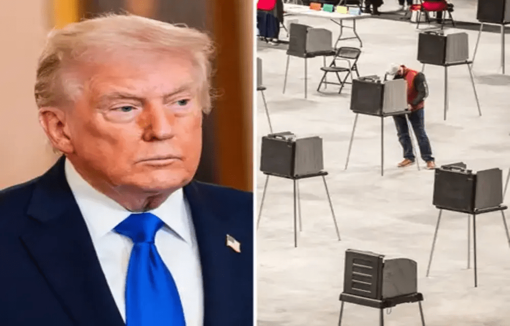 Trump Hints At Controversial Plan To Cancel The Midterm Elections