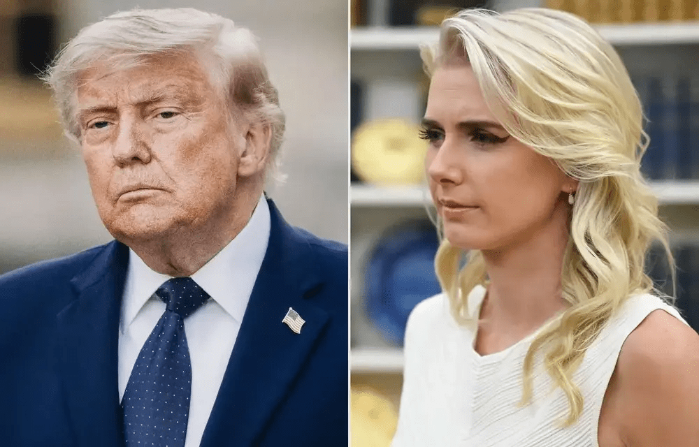 NY Times Reporter Explains The Bond Between Trump And His Human ‘Comfort Blanket’