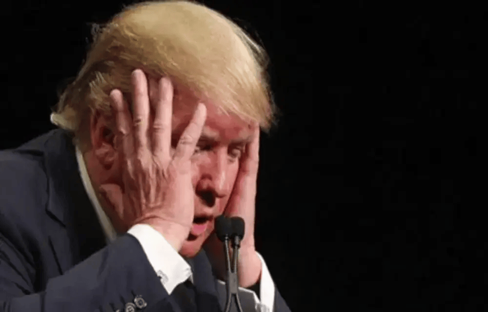 Donnie’s Labor Day Message To America: Everyone Is Against Me